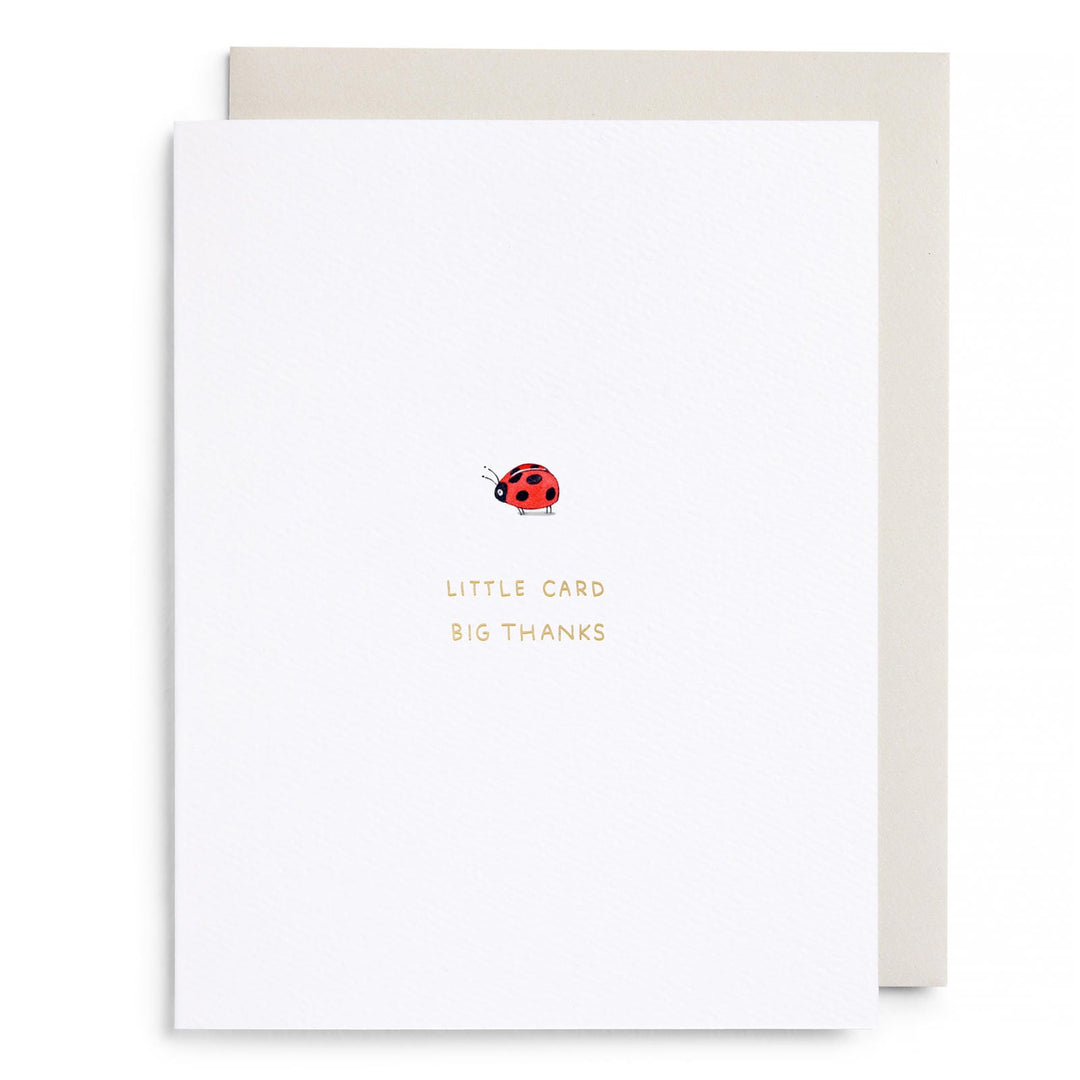 Little Card Big Thanks