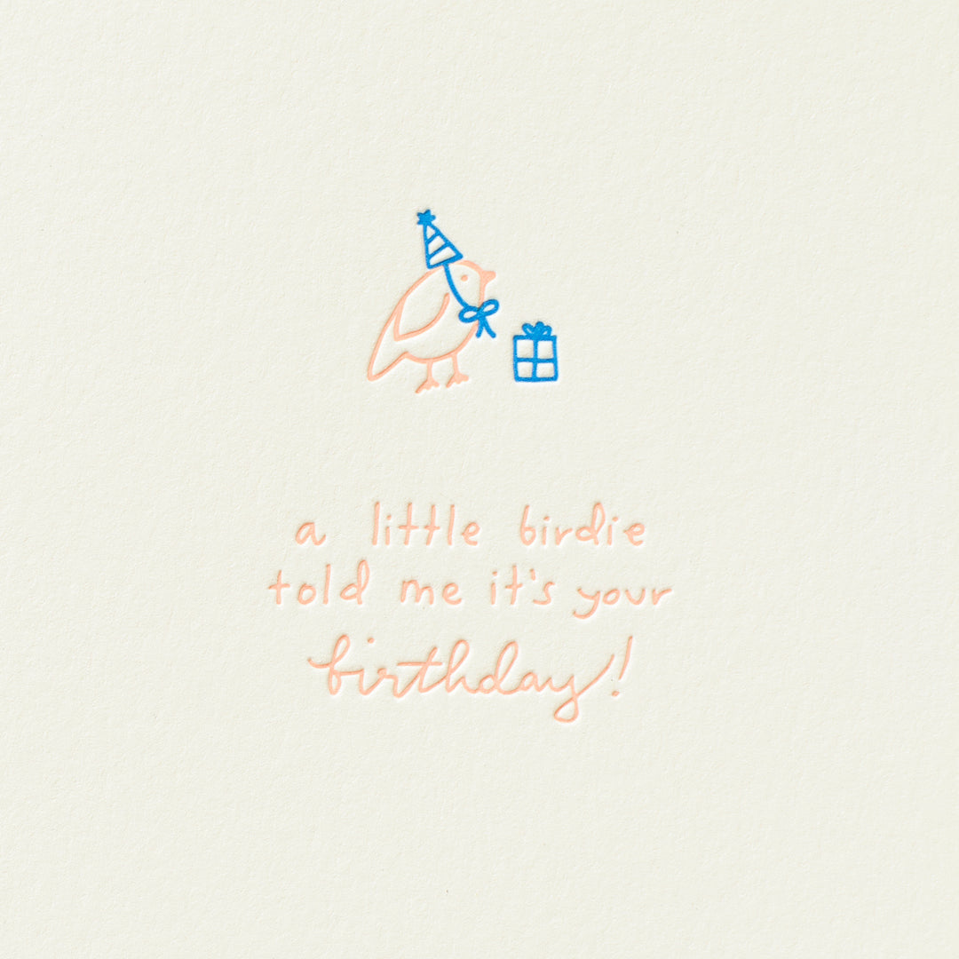 Little Birdie Birthday