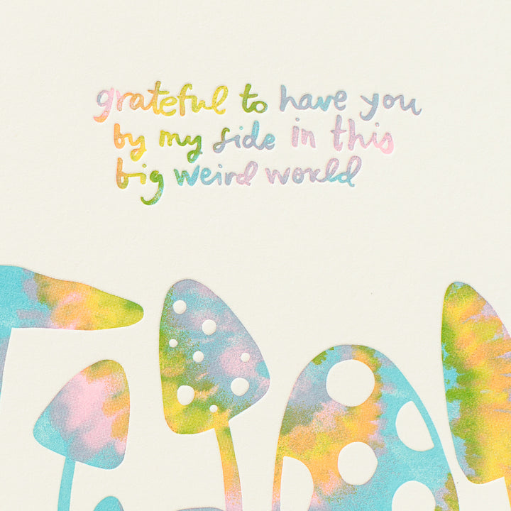 Grateful Mushrooms