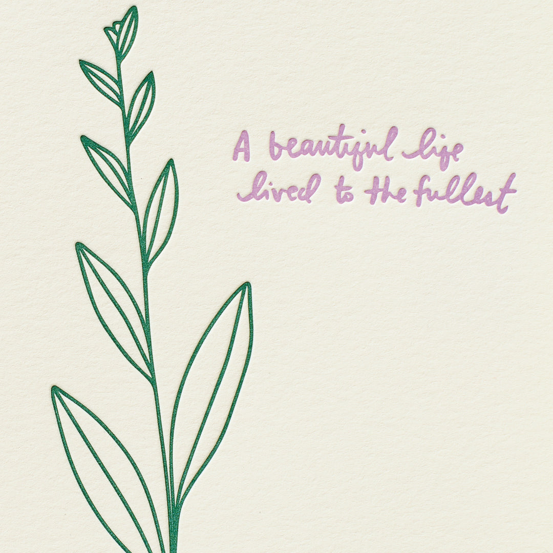 Beautiful Life Lily