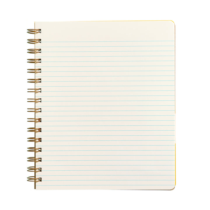 Standard Notebook - Blue Hearts
