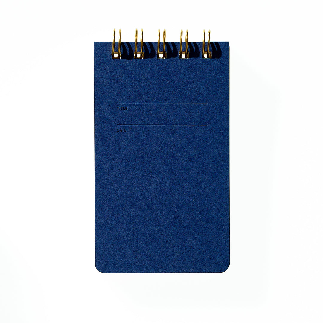 Reporter Notebook - Blueberry
