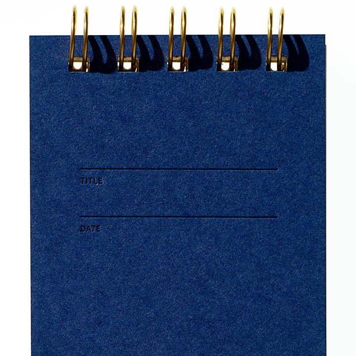 Reporter Notebook - Blueberry