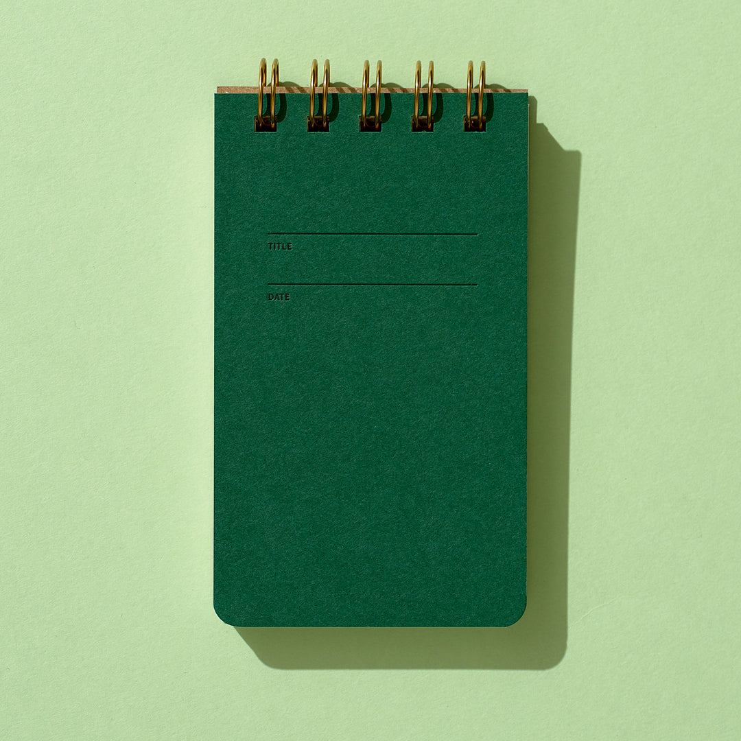 Reporter Notebook - Fern