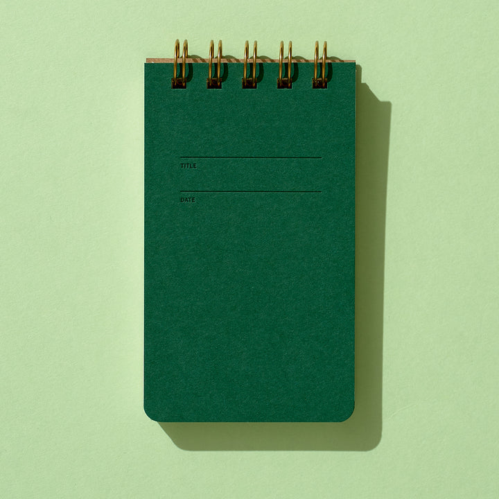 Reporter Notebook - Fern