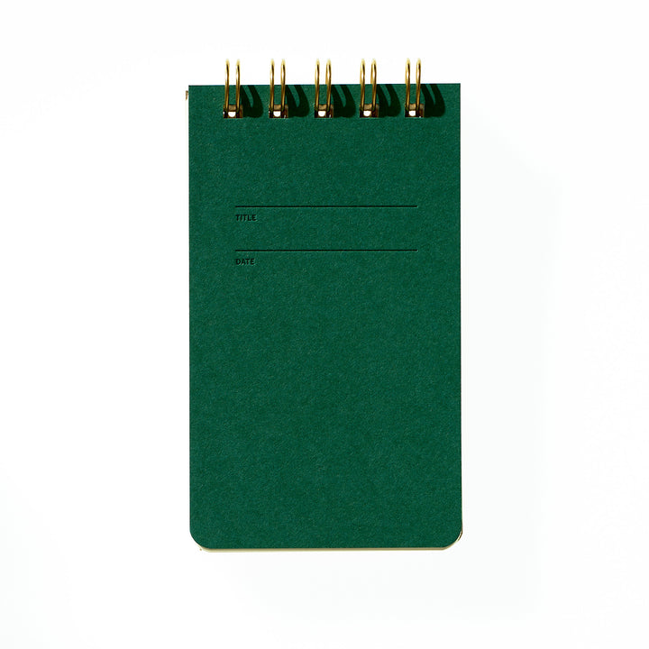 Reporter Notebook - Fern