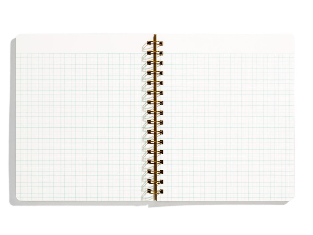 Standard Notebook - Pink Lemonade